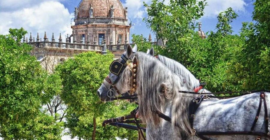 Jerez: Historic Center Guided Tour - San Miguel and the Christian quarter