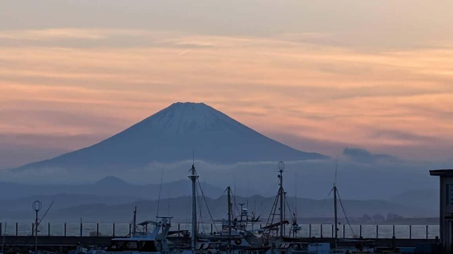 Kamakura: A Journey Through Medieval Japan - Tsurugaoka Hachimangu connects the city to the samurai government