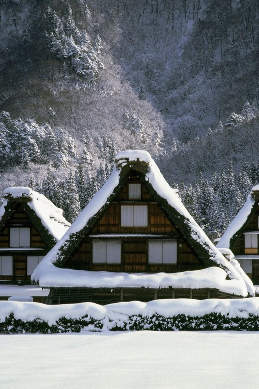 Kanazawa: World Heritage Shirakawa-go & Two Local Experience - Should you book the Shirakawa-go and Kanazawa day tour?