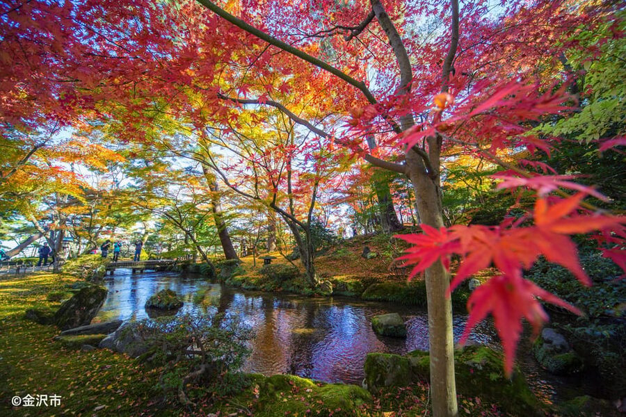 Kanazawa: World Heritage Shirakawa-go & Two Local Experience - Practical tips for a smoother day