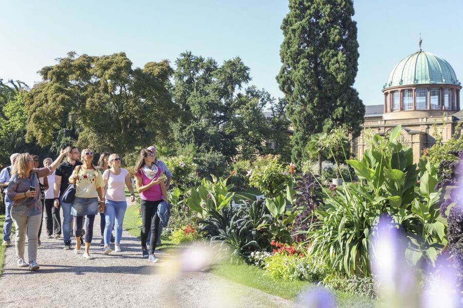Karlsruhe: Guided City History & Culture Walking Tour - Key points to know before booking