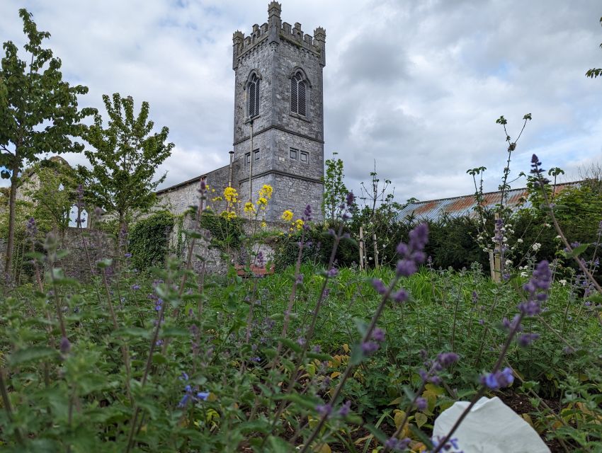 Kilkenny: Historical Highlights Walking Tour - What the Two Hours Feel Like
