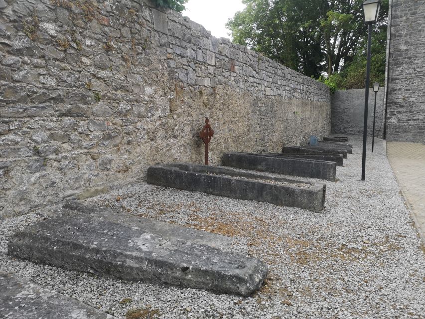 Kilkenny: Historical Highlights Walking Tour - The Library and Great War Memorial