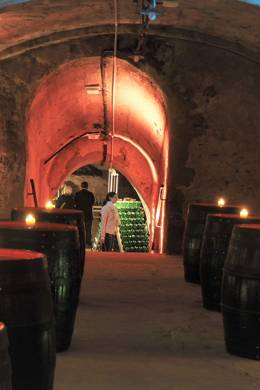 Koblenz: Historical Sparkling Wine Museum Guided Tour - Who will enjoy it most