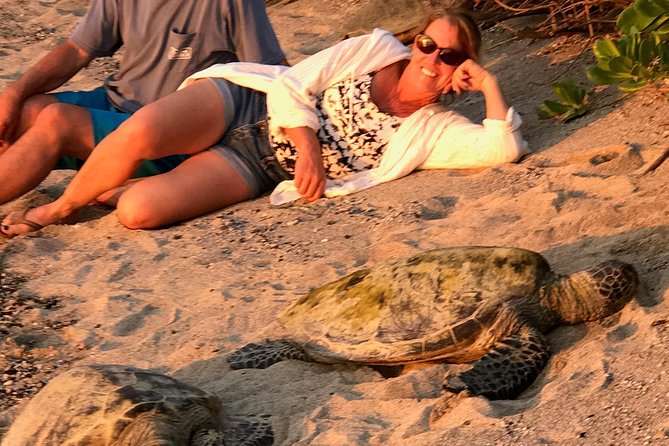 Kona Shore Excursion: Sea Turtles, Historic Kona & Coffee - Looking for green sea turtles