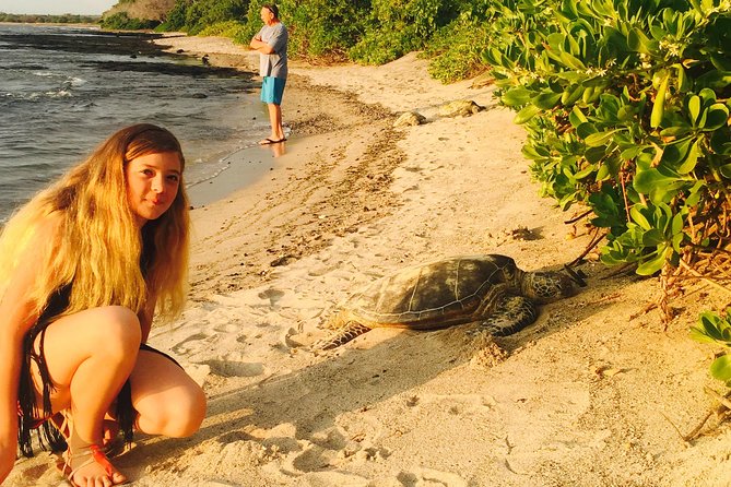 Kona Shore Excursion: Sea Turtles, Historic Kona & Coffee - The guides shape the day