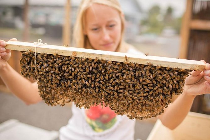 Kona Tour: Bee Farm, Kona Coffee, and National Historical Parks - Why this Kona day works