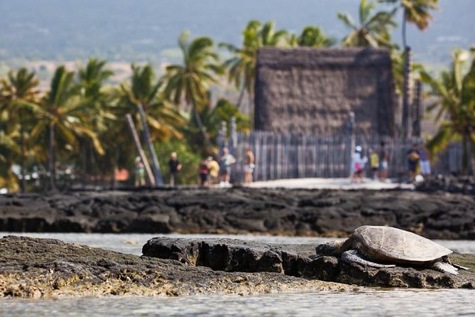 Kona Tour: Bee Farm, Kona Coffee, and National Historical Parks - Pu’uhonua o Honaunau and the city of refuge