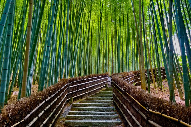 Kyoto Early Bird English Tour: Fushimi-Inari and Arashiyama - Price, transport, and what you are really paying for