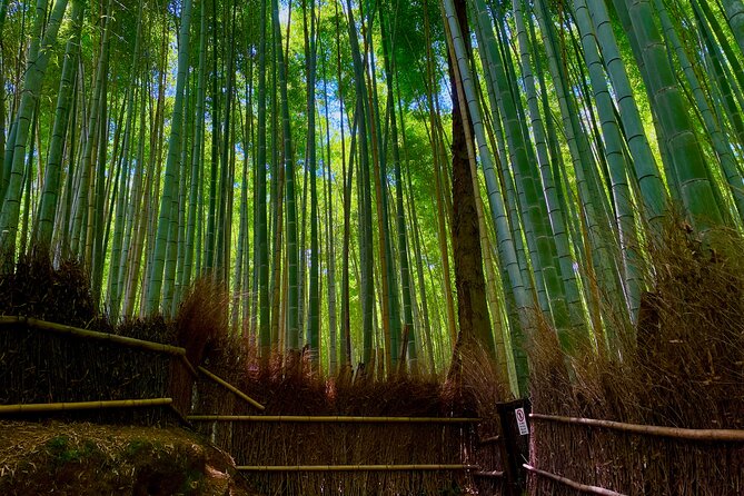Kyoto Early Bird English Tour: Fushimi-Inari and Arashiyama - Fushimi Inari, where the torii gates lead uphill