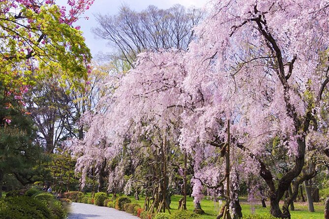 Kyoto: Nijo Castle World Heritage Guided Tour with Admission - What the guides add to the experience