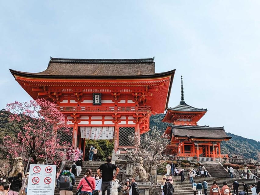 Kyoto/Osaka: Kyoto and Nara Sites & History Day Trip - What this Kyoto and Nara day trip is really trying to do