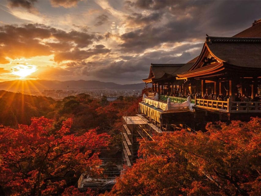 Kyoto/Osaka: Kyoto and Nara Sites & History Day Trip - What the guide adds to the day