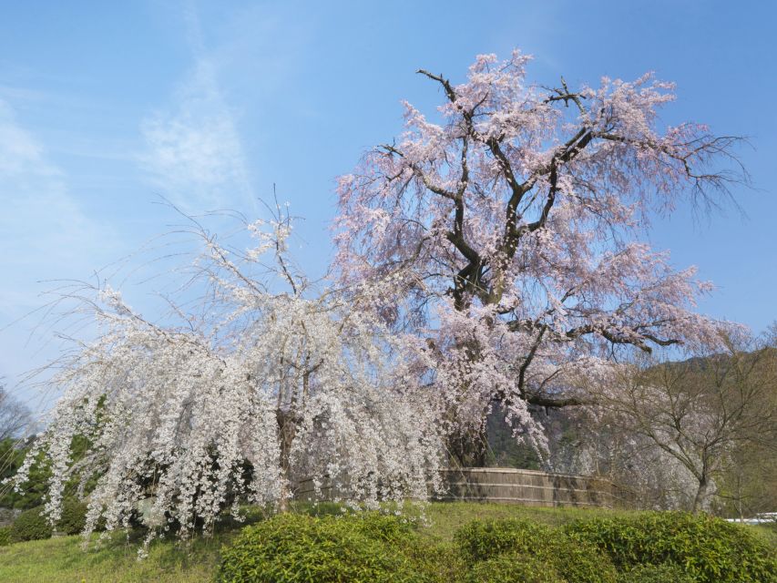 Kyoto: Private 2.5 Hour Historical Walking Tour - The final climb to Kiyomizu-dera