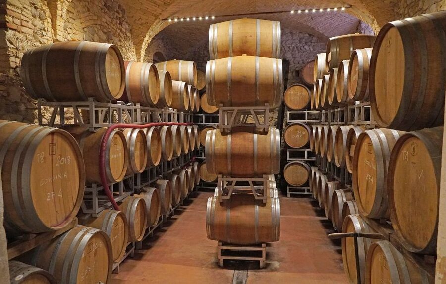Lazise: Historical Center Wine Tasting Tour - Accessibility, Pets, and Dietary Limits