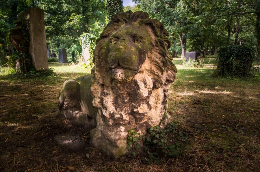 Leipzig Old Cemetery: 75-Minute Dark History Tour - What the gravedigger guide adds
