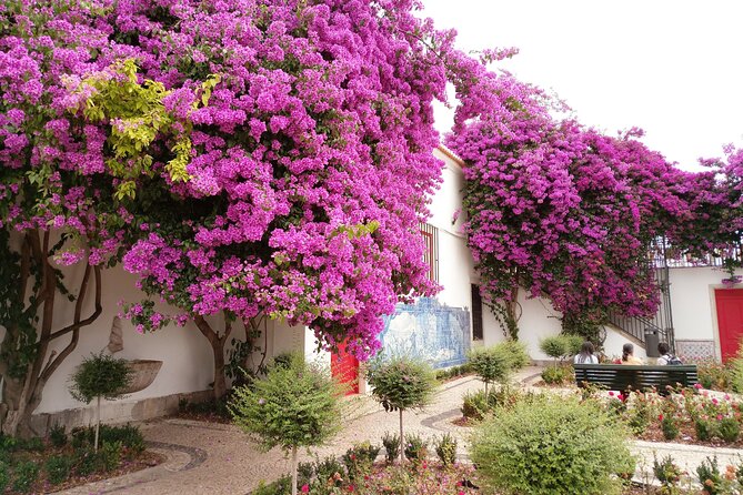 Lisbon Highlights - Private Tour with Van and Local Guide - What the private format really changes
