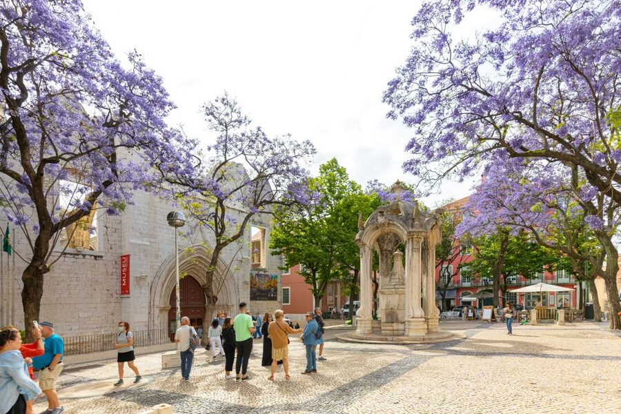 Lisbon: History, Stories and Lifestyle Walking Tour - The tram ride adds local texture and a needed break