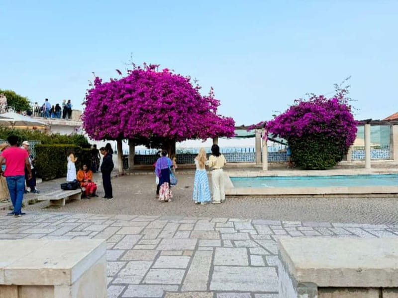 Lisbon: Tuk-Tuk Tour Historical Alfama old town private tour - How personal is the experience?