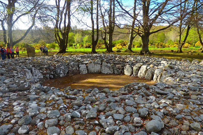 Loch Ness & Culloden Battlefield Private Tour from Inverness - Highland cattle and alpacas at Robertson’s