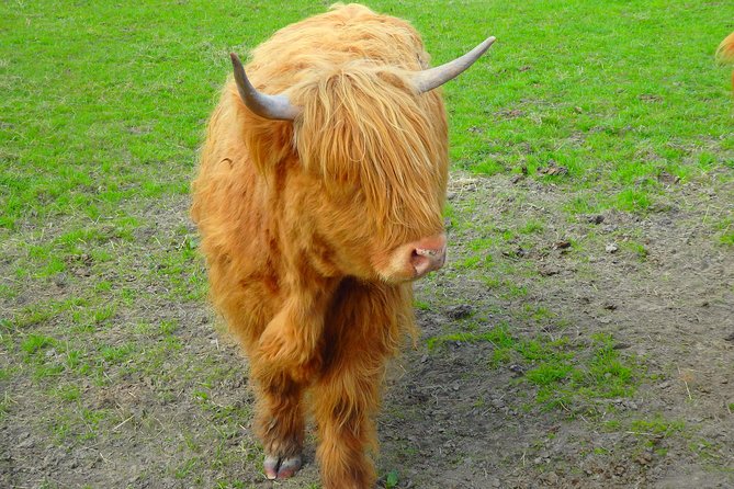 Loch Ness & Culloden Battlefield Private Tour from Inverness - What the guide adds to the price