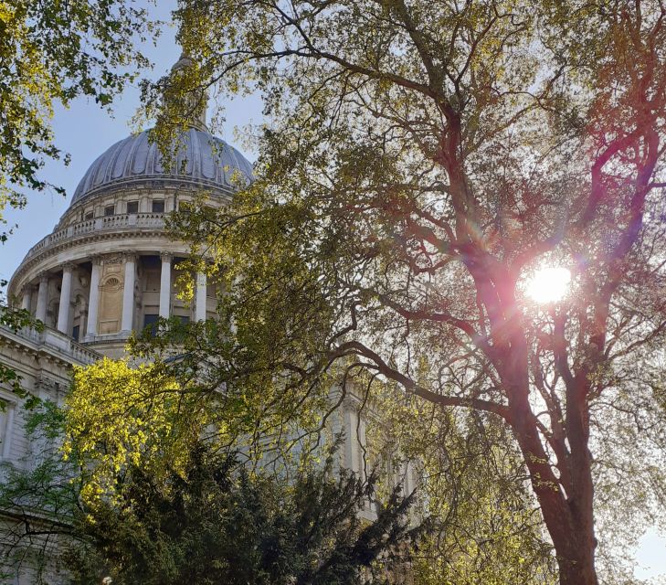 London: Medieval History Walking Tour from The Tower - What the guide adds to the walk