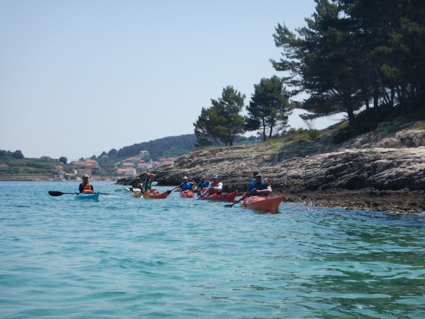 Lumbarda: Half-Day Kayaking and History with Wine delight - Who should book this experience