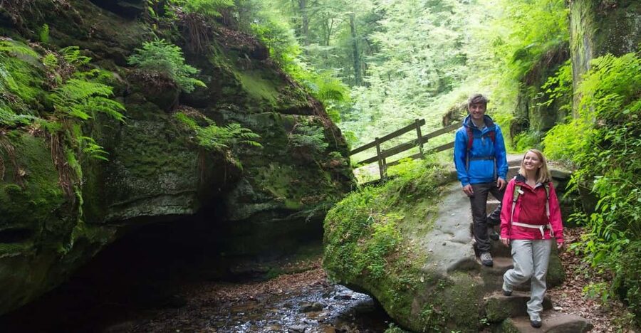 Luxembourg: Nature, History and Castles Full-Day Tour - Key points to know before you book