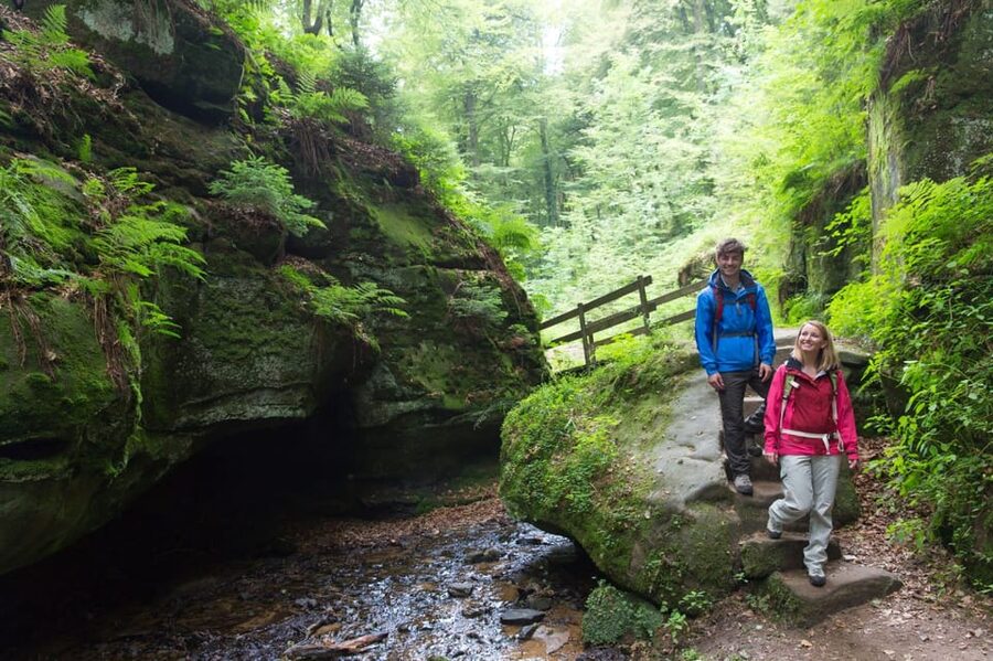 Luxembourg: Nature, History and Castles Full-Day Tour - Why this eight-hour route works