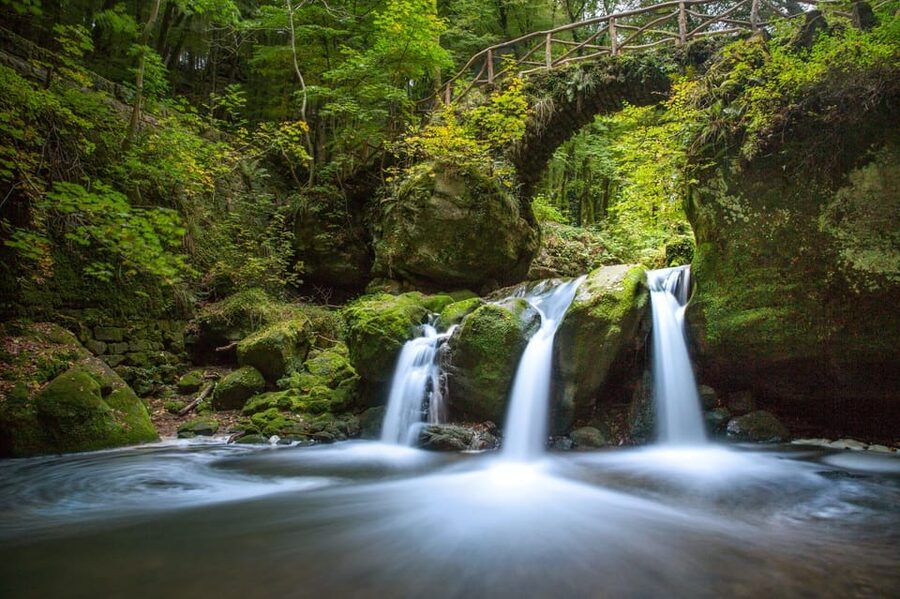 Luxembourg: Nature, History and Castles Full-Day Tour - Beaufort Castle among the forest