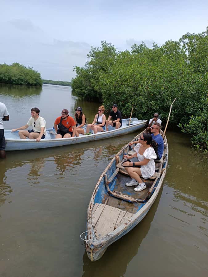 Mangroves, cultural fishing, black heritage town and lunch - Practical advice for a smoother visit