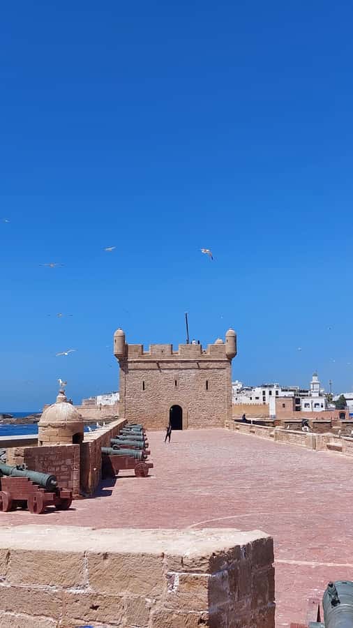 Marrakech: Day Trip to the Beautiful and Historic Essaouira - Delays and the planned return to Marrakech
