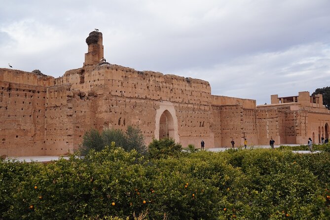 Marrakech The History and Culture Day Trip - Who should book this Agadir day trip
