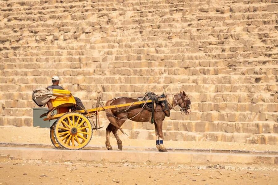 Marsa Alam: Ancient Cairo & Giza Pyramids Day Trip by Plane - Who should book this Cairo day trip?