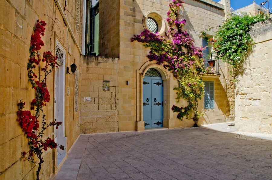 Mdina: Private Historical City Walking Tour with Rabat Town - Who will get the most from this walk