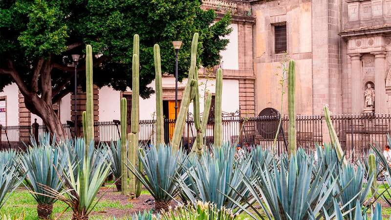 Mexico City: Historic Downtown Walking Tour - The Post Office Building’s surprising elegance
