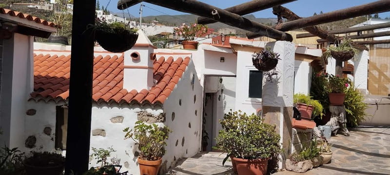 Mojo Workshop Cooking Class in Ancient Canarian Village - Key points at a glance