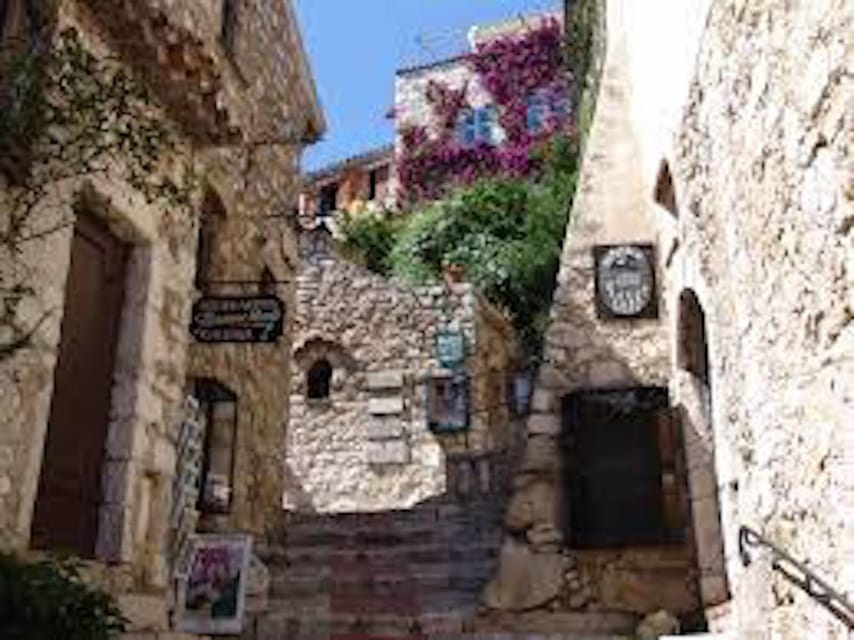 Monaco and Perched Medieval Villages Day Tour from Nice - What the minivan and guide add
