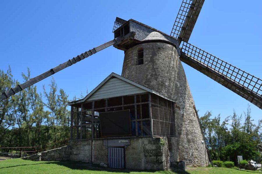 Monkey Feeding & Historic Sugar Plantation & Rum Distillery - The guides are a major part of the experience