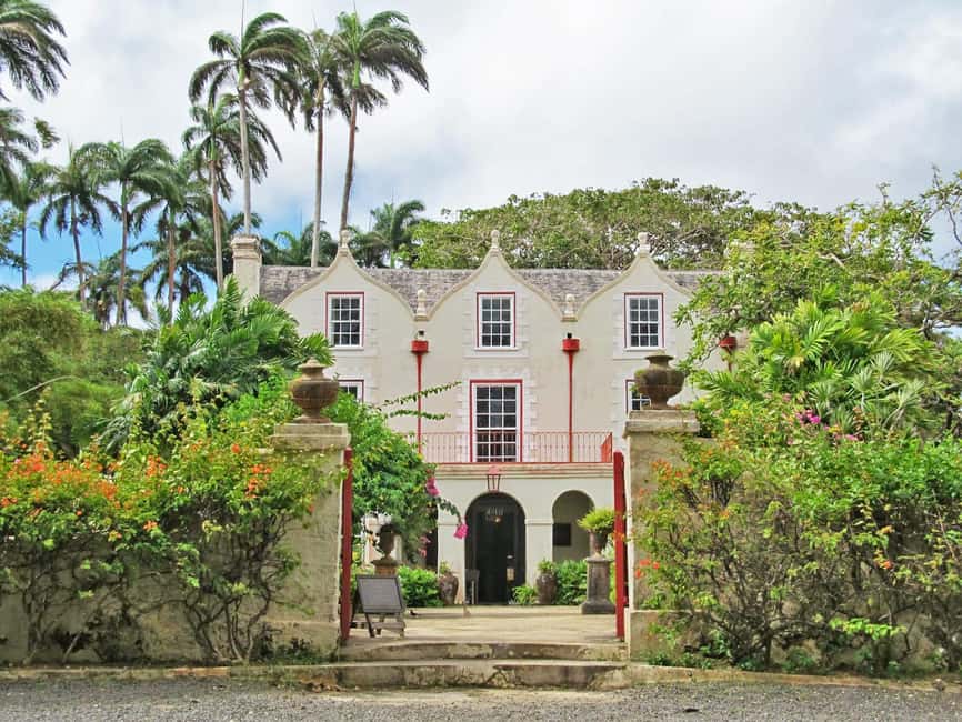 Monkey Feeding & Historic Sugar Plantation & Rum Distillery - At the Barbados Wildlife Reserve, watch for feeding time