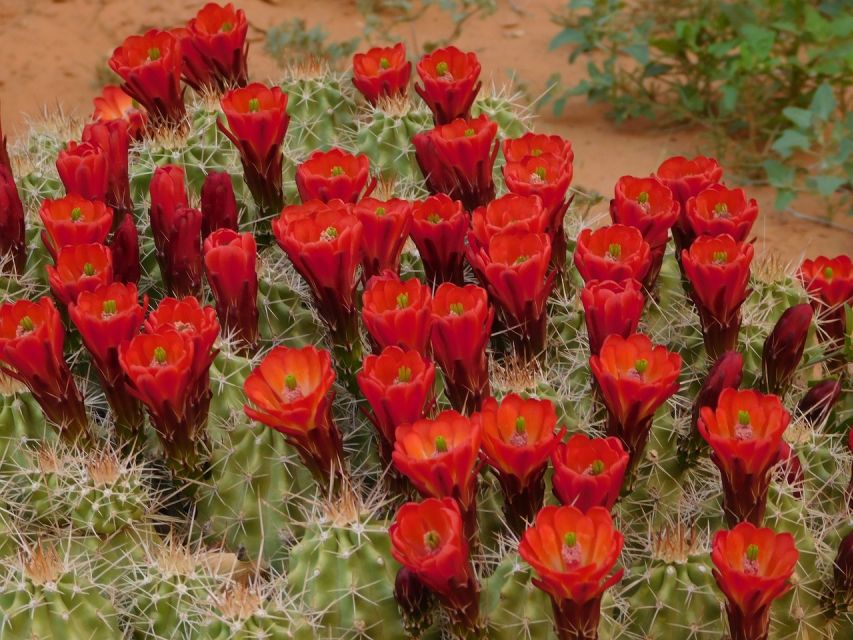 Monument Valley: Scenic 3.5-Hour Cultural Tour - The Hogan demonstration and Navajo daily life