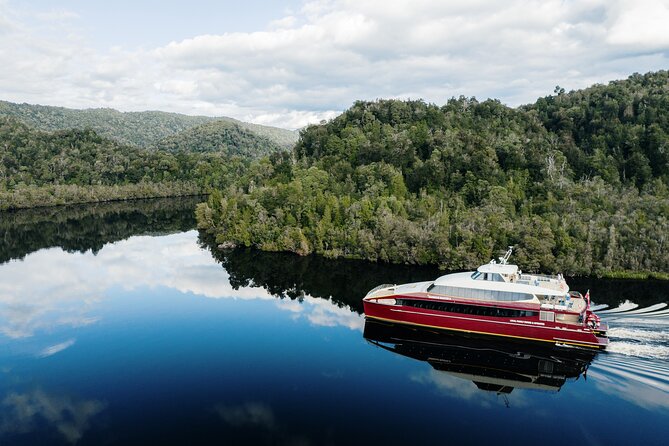 Morning World Heritage Cruise on the Gordon River from Strahan - Key points to know before booking