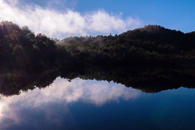 Morning World Heritage Cruise on the Gordon River from Strahan - The rainforest boardwalk