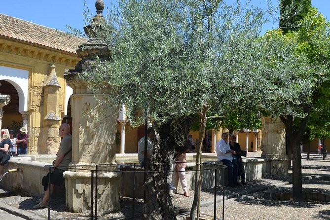 Mosque of Cordoba History Tour in English Tickets included - Price, entry, and the value of prebooking