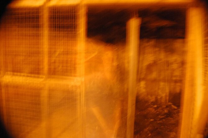 Murder & Mayhem Haunted History Walking Tour - Walking conditions, weather, and what to wear