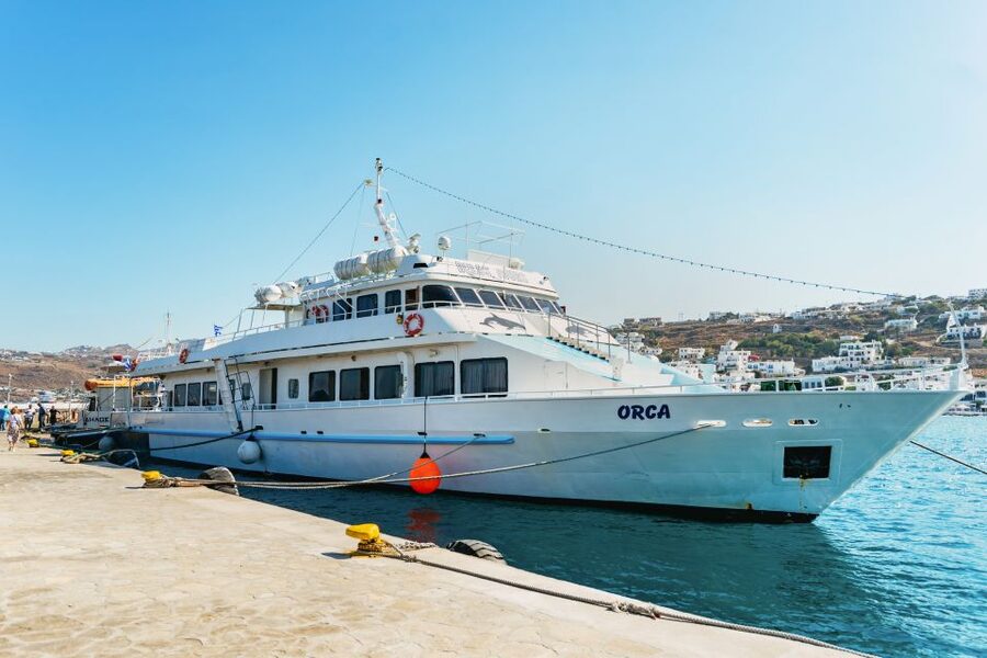 Mykonos Town: Archaeological Site of Delos Guided Day Trip - The heat, walking, and basic comfort