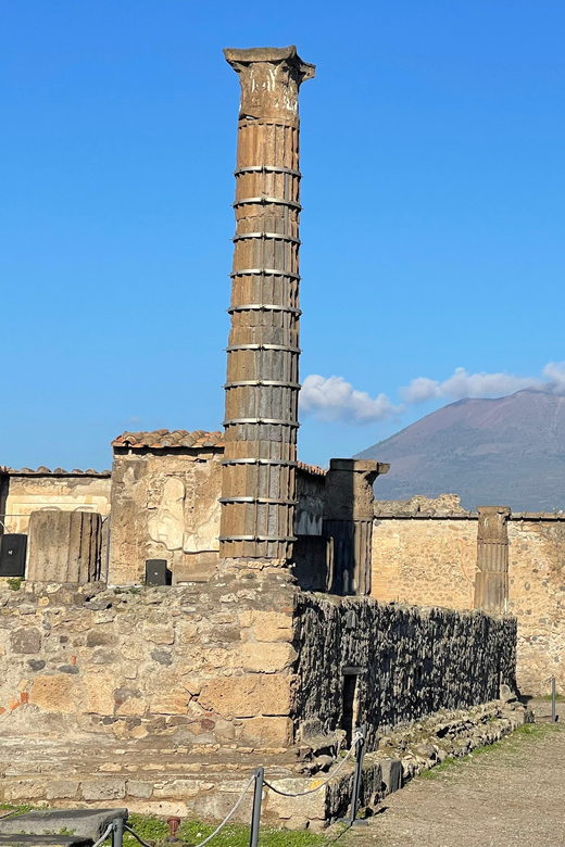 Naples: Pompeii Archaeology Park Tour & Skip-the-Line Entry - Who should book this Pompeii tour?