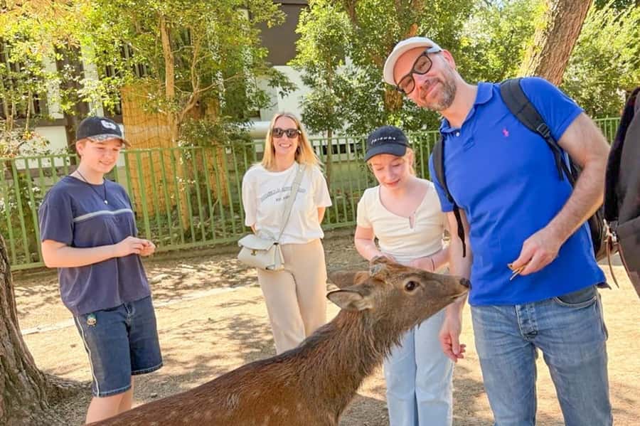 Nara: Half-Day UNESCO Heritage & Local Culture Walking Tour - Starting at Kintetsu Nara Station