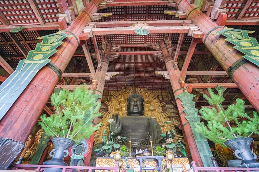 Nara: Half-Day UNESCO Heritage & Local Culture Walking Tour - Todai-ji and the Great Buddha
