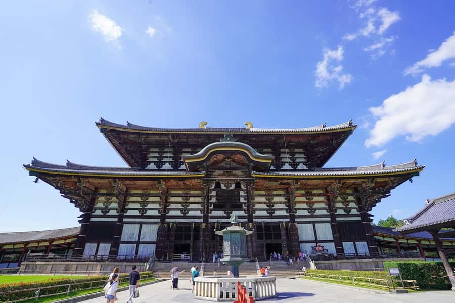 Nara: Half-Day UNESCO Heritage & Local Culture Walking Tour - Nara Park deer, sacred messengers with good timing